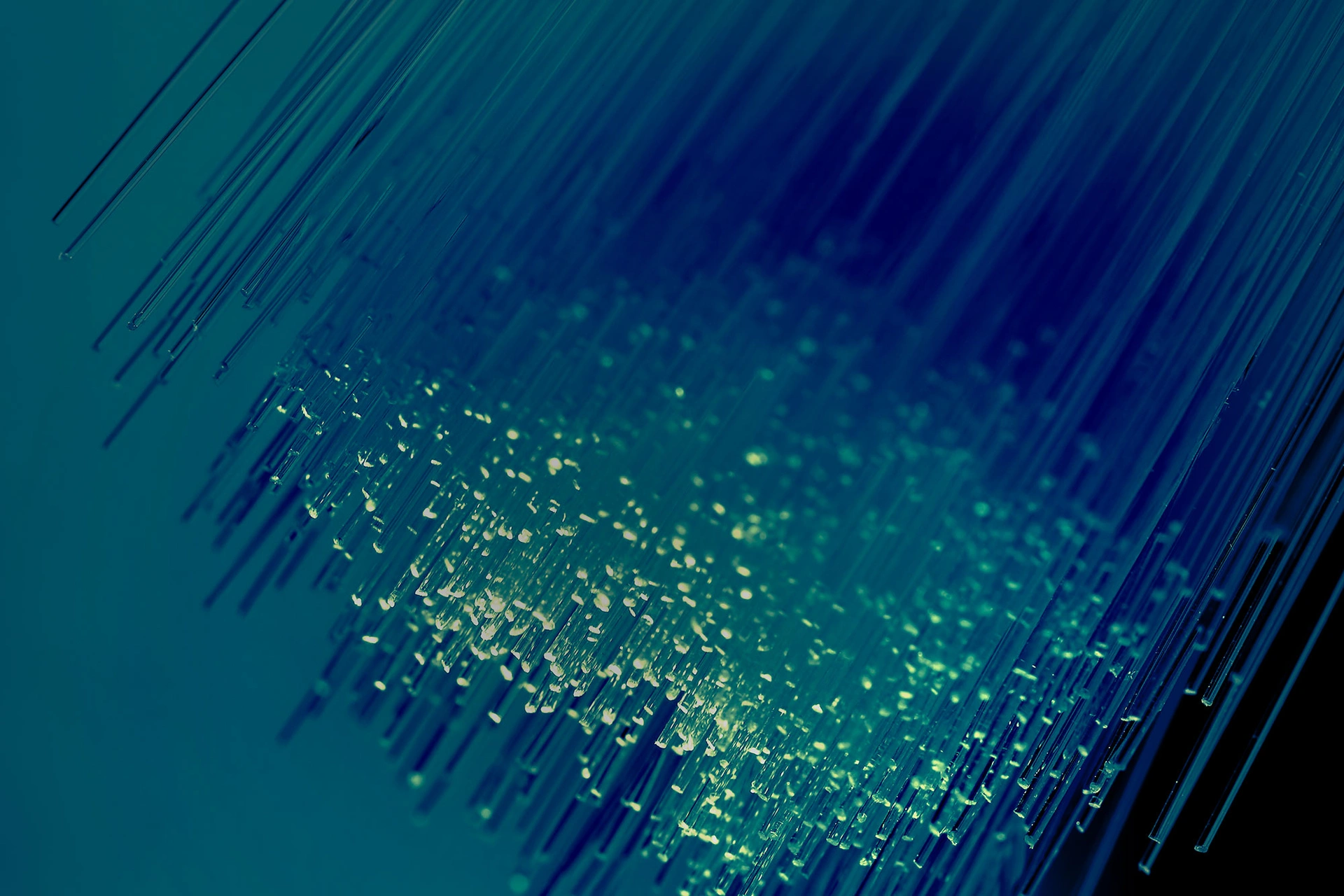 ws_fibre_optic_cables_in_green_hero