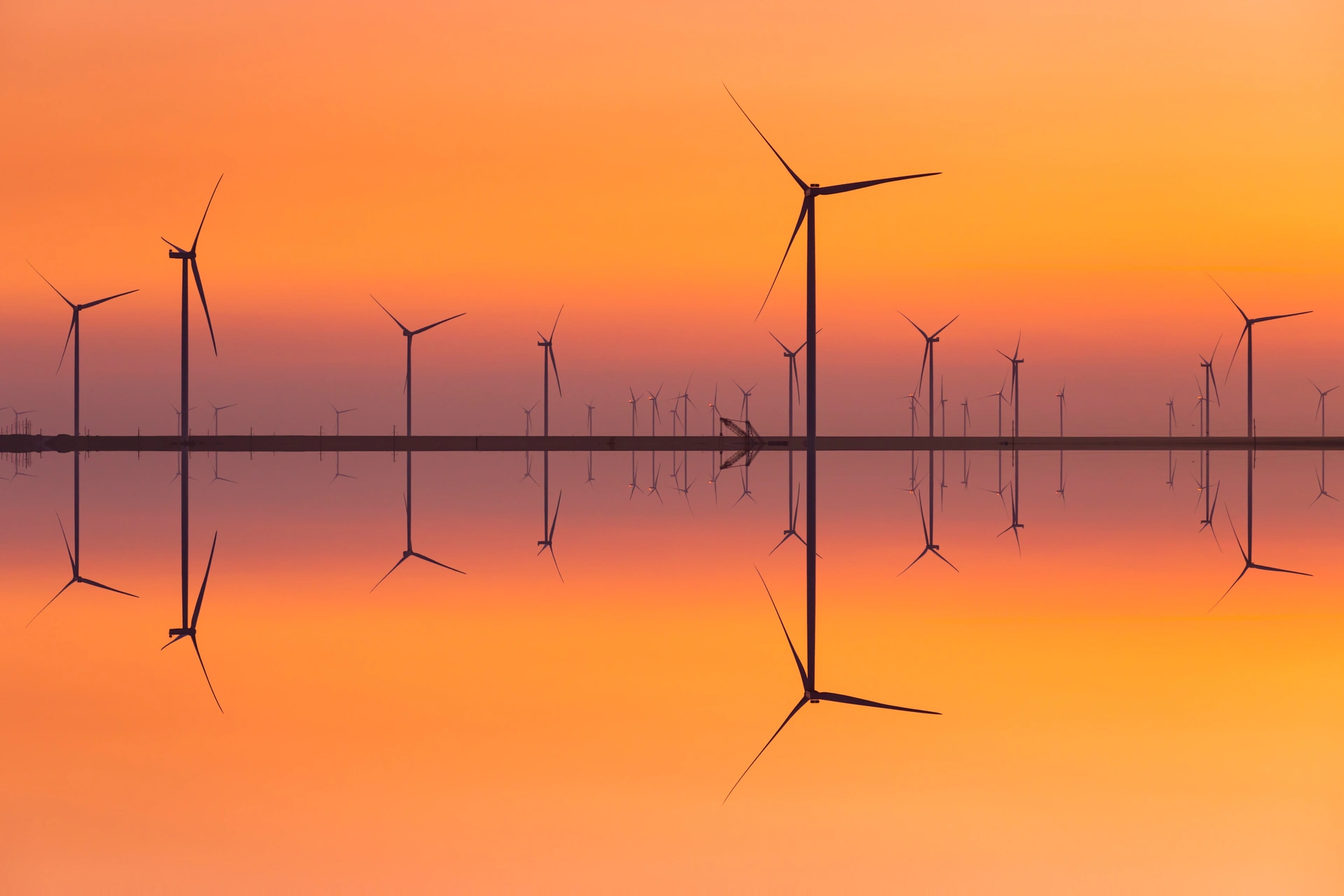 WithSecure_Nature_sunset