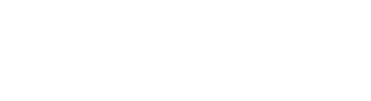 saldobank logo