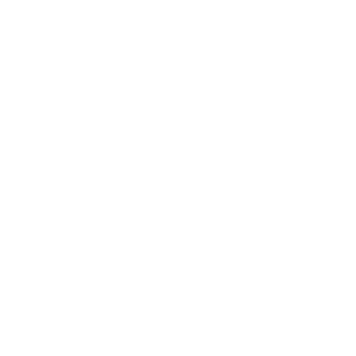 skaala logo