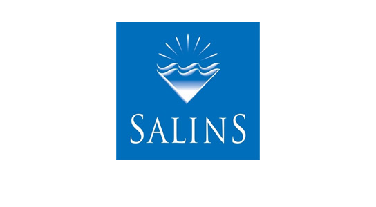 Case Study: Salins Group
